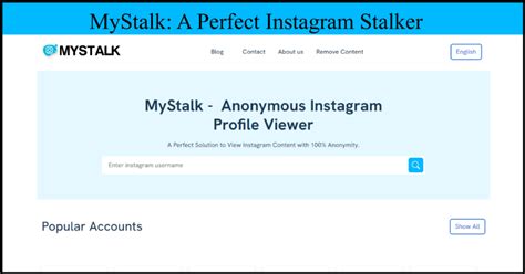 mystalk instagram|MyStalk: The Ultimate Guide to Anonymous Instagram Viewing